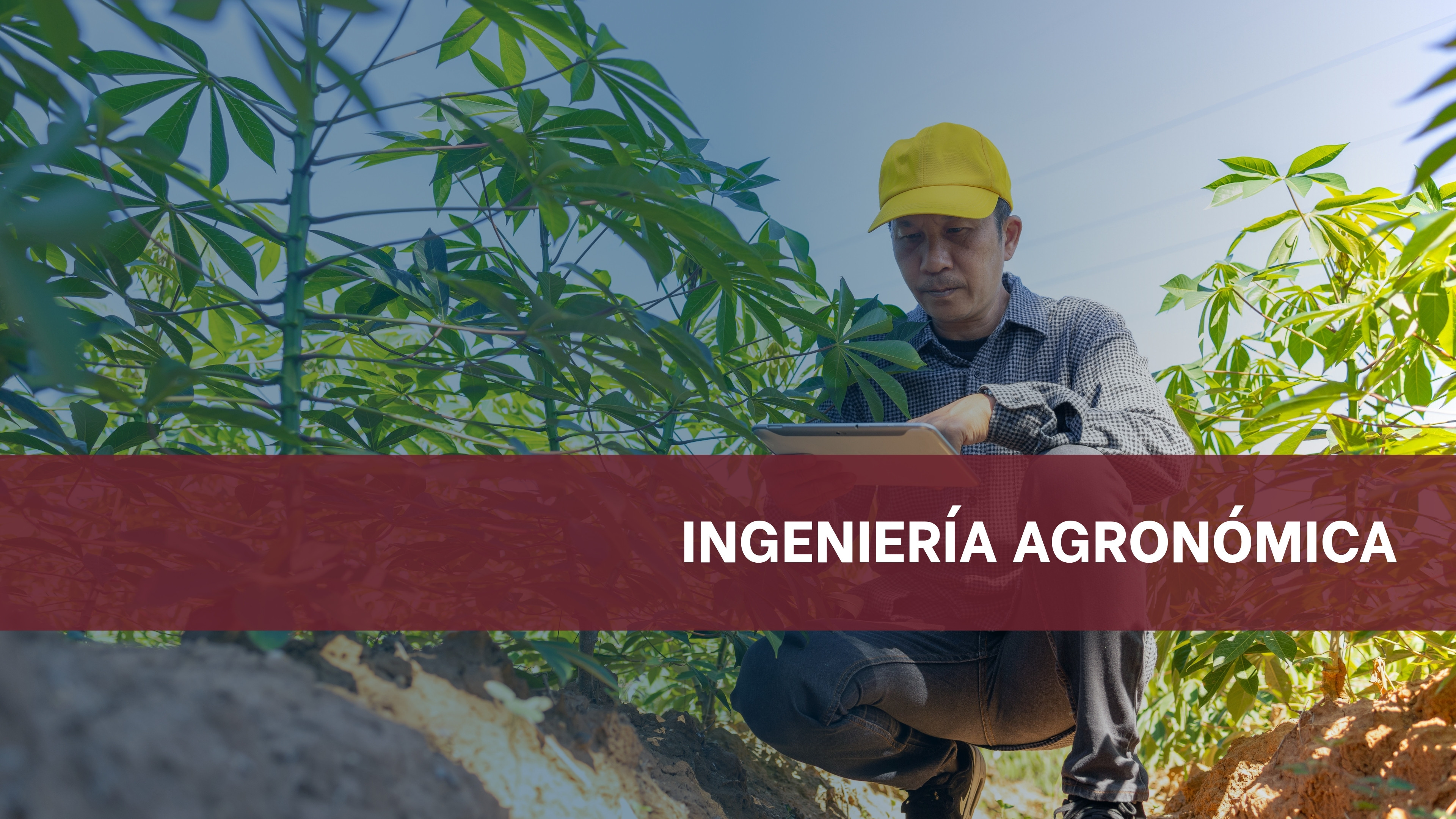 Ingeniería Agronómica